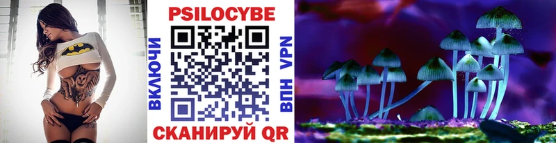 купить наркотики сайты  Вязьма  блэк спрут онион  Псилоцибиновые грибы MAGIC MUSHROOMS 