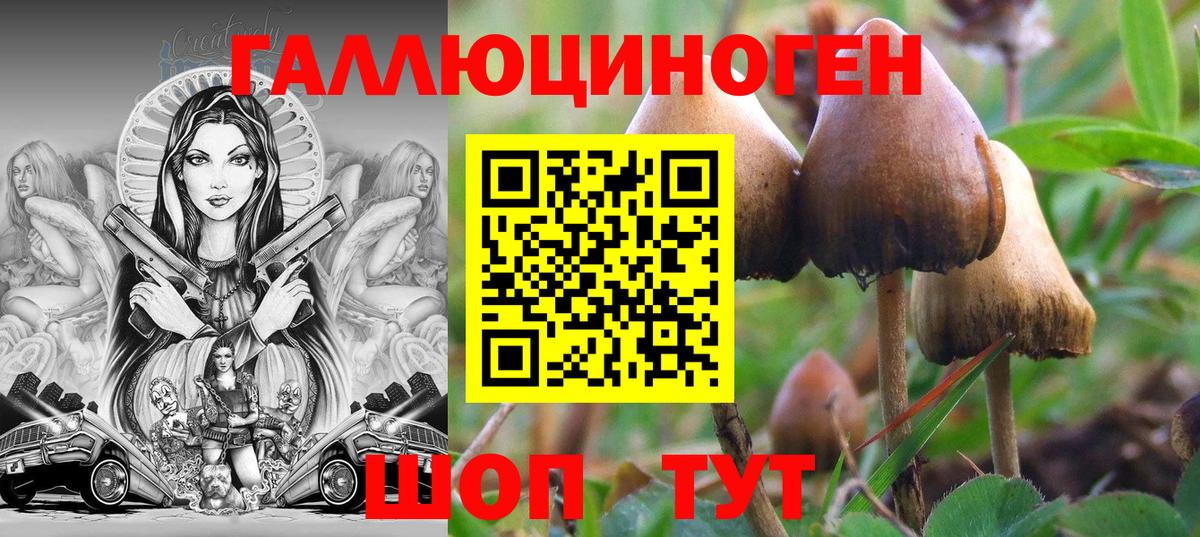 Галлюциногенные грибы мицелий  Вход с VPN  Вязьма 
